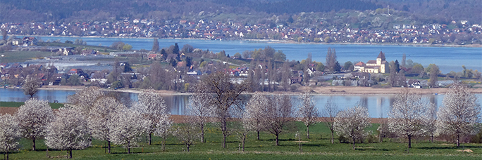 Insel Reichenau, Foto: Pit Wuhrer